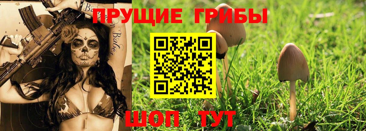 Псилоцибиновые грибы Cubensis  Вход с VPN  Котлас 